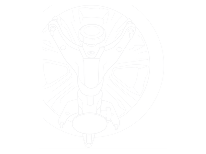 Clamp mounted on the wheel with the plate on